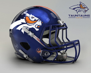 Denver Broncos Taunton Hoths NFL helmet by John Raya